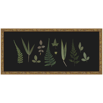 «Botanical Leaf Study Panel» par Stephanie Klatt, reproduction d'art encadrée