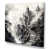 Toile tendue