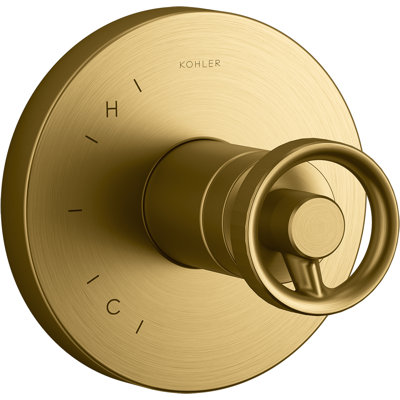 Components Rite-Temp Shower Valve Trim with Industrial Handle