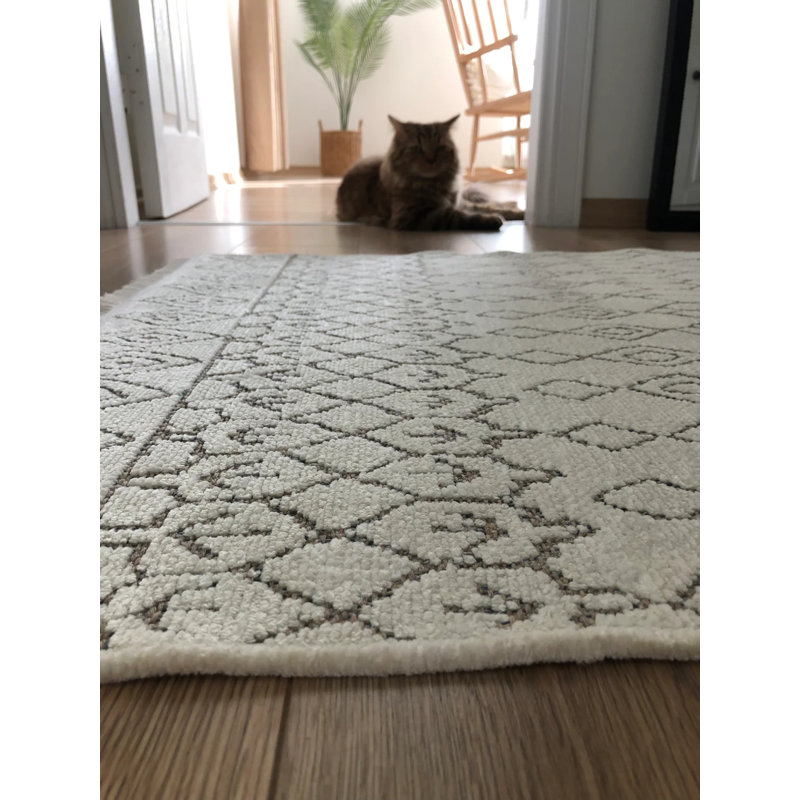 Viara Performance Chenille Washable Geometric Indoor / Outdoor Rug, Rectangle 6'6" x 9'6"