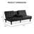 Burrell Futon Sofa Bed-781772791