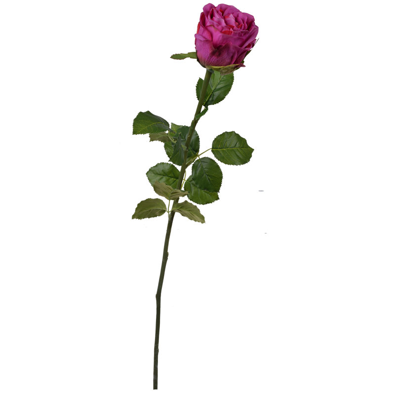 Tige d'orchidée, Mauve