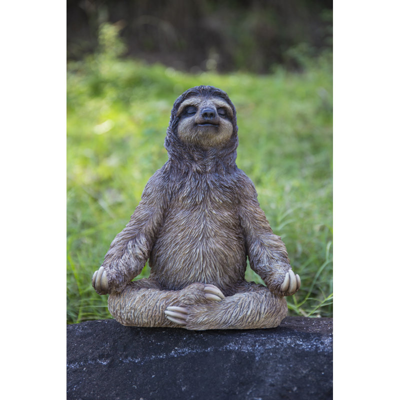 Paresseux en méditation