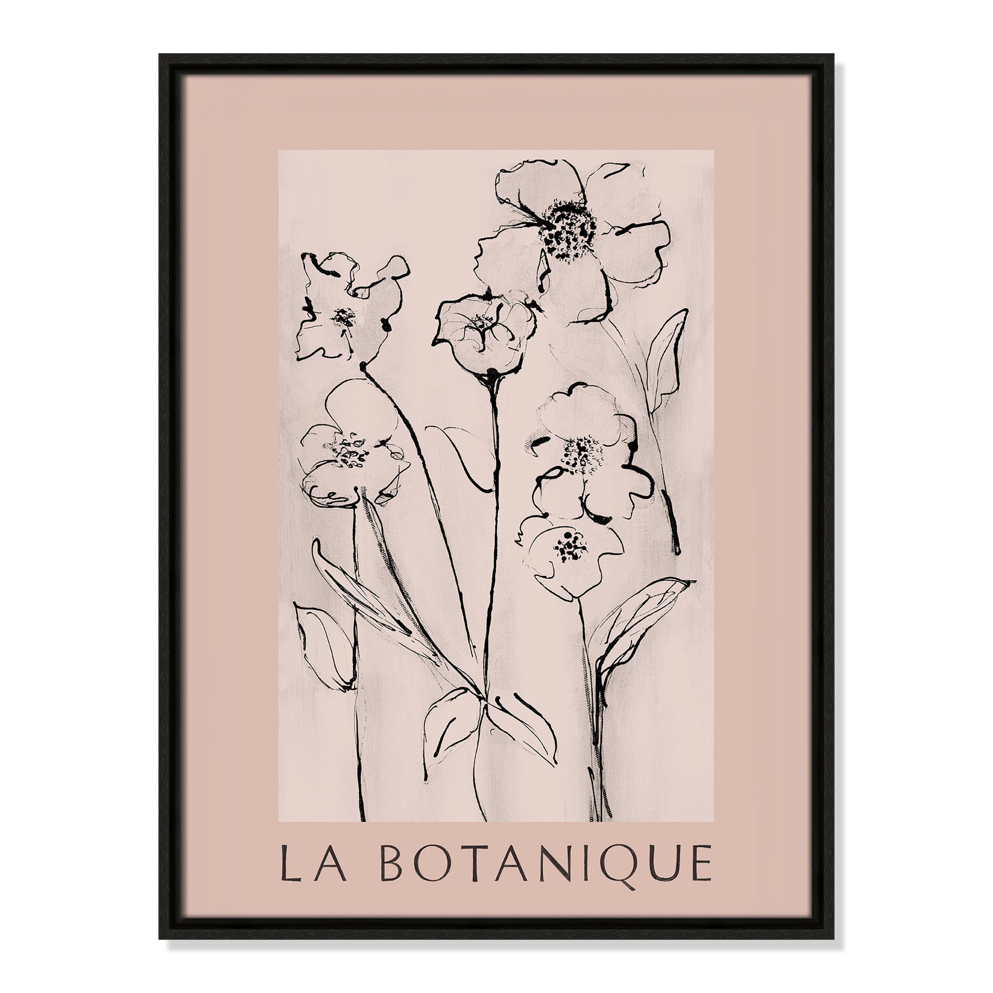 Botanical Poster Collection " La Botanique " by Susan Jill, No, 25.5" H x 19.5" W x 2" D, Espresso Floater Frame