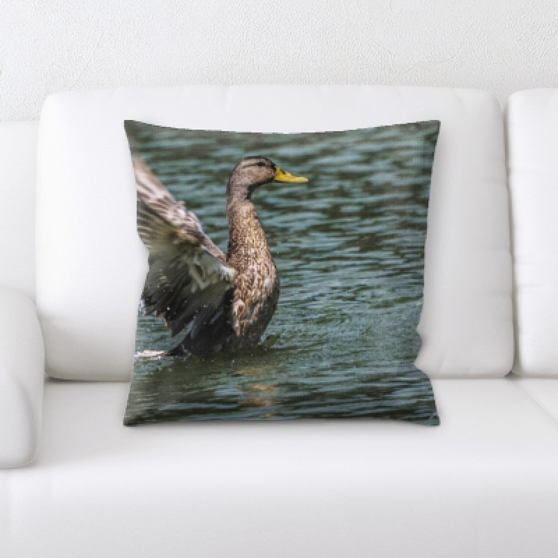 Coussin oiseau