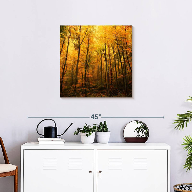 Alvord Forest In Autumn