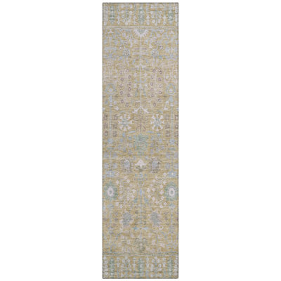 Machine Washable Indoor/Outdoor Brenden ACN2231 Global Rug