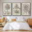 Fresco Crown Imperial II 3 pièces-97795113-97795111
