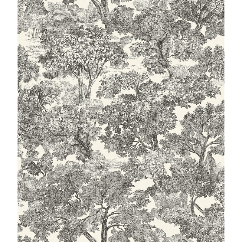 Papier peint Spinney Toile, Noir