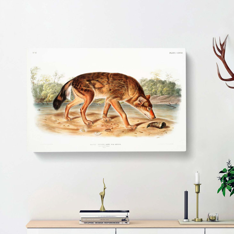 Red Texan Wolf by J.W. Audubon - Wrapped Canvas, 40cm H x 60cm W x 3cm D