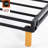 Springfield 11'' Mattress Foundatoin-1661538764