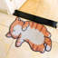 Tapis filtrant pour litière pour chat-100730720