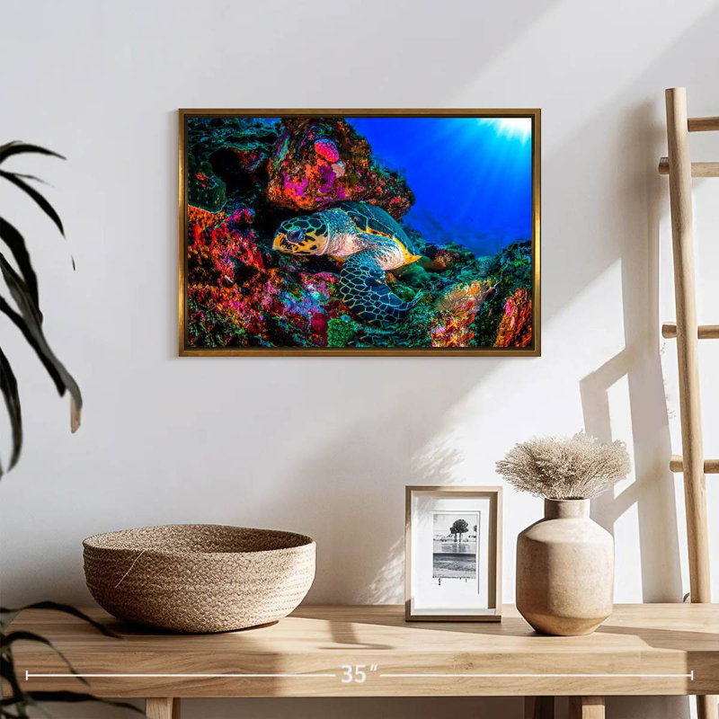 Tortue océan monde, Cadre flottant doré, 19 po x 13 po