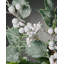 Fabric Berry Arrangement