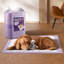 Disposable Polyester Litter Mat
