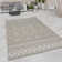 Parksley Moroccan Shag Area Rug