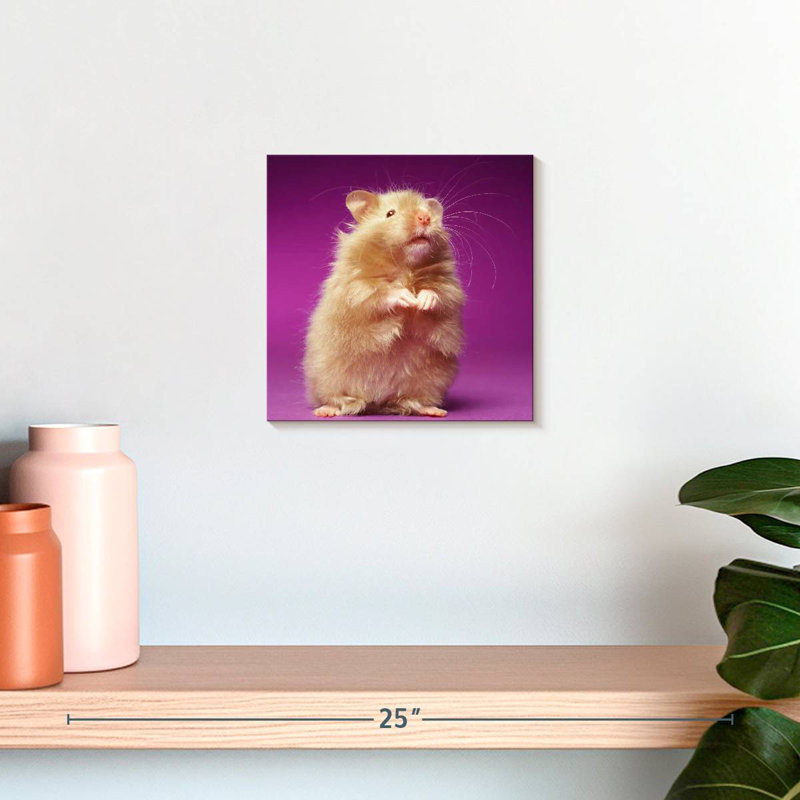 Ketti Fluffy Hamster, 10" H x 10" W