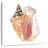 Aletra Seashore Souvenirs I