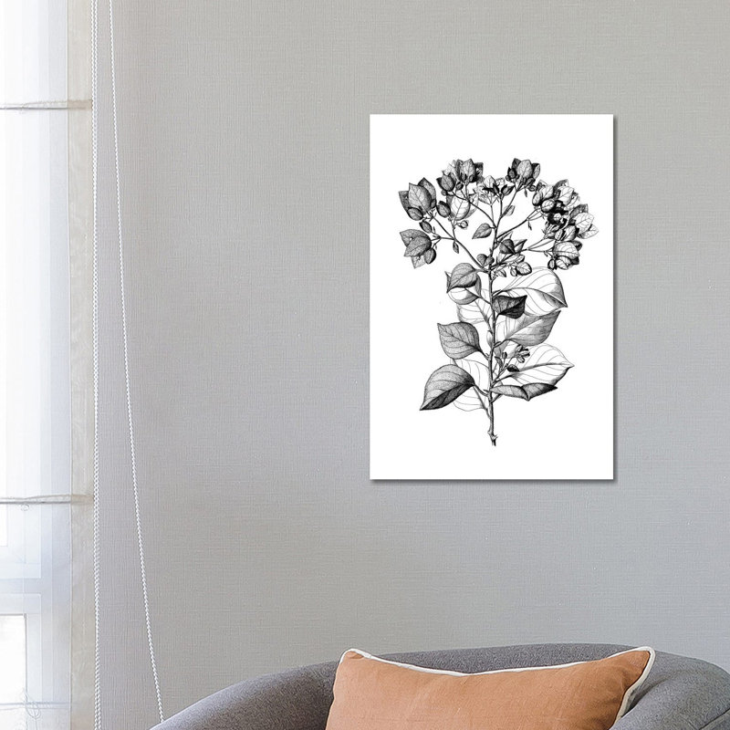 Botanical Black And White I by Kelly Donovan - Wrapped Canvas Print, 66.04 cm H x 45.72 cm W