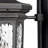 Raley 4-Light Outdoor Wall Lantern