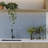 Spanish Lingot Porcelain 12"x 24"x 9mm Wall Tile Case (5 PCS, 10.76 Sq. Ft.)-111678429