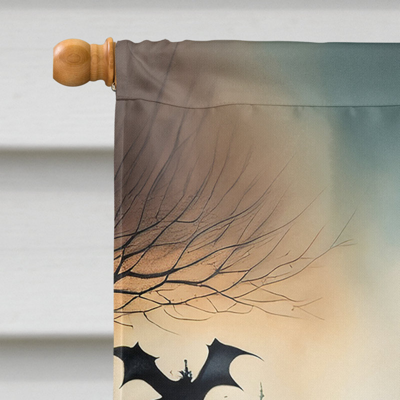 Double Sided 40'' H x 28'' W Polyester Halloween House Flag
