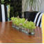 Centre de table orchidée Driftwood Cymbidium-898860772-898860794