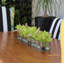 Centre de table orchidée Driftwood Cymbidium-898860794-898860772