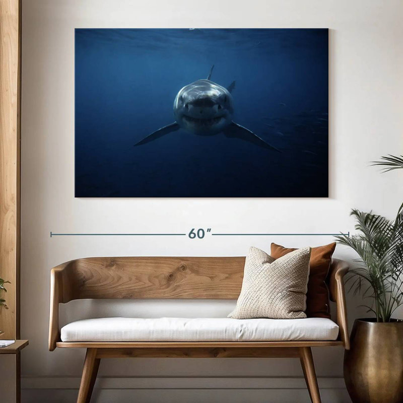 Requin-ronce traque, H 34 po x l 51 po