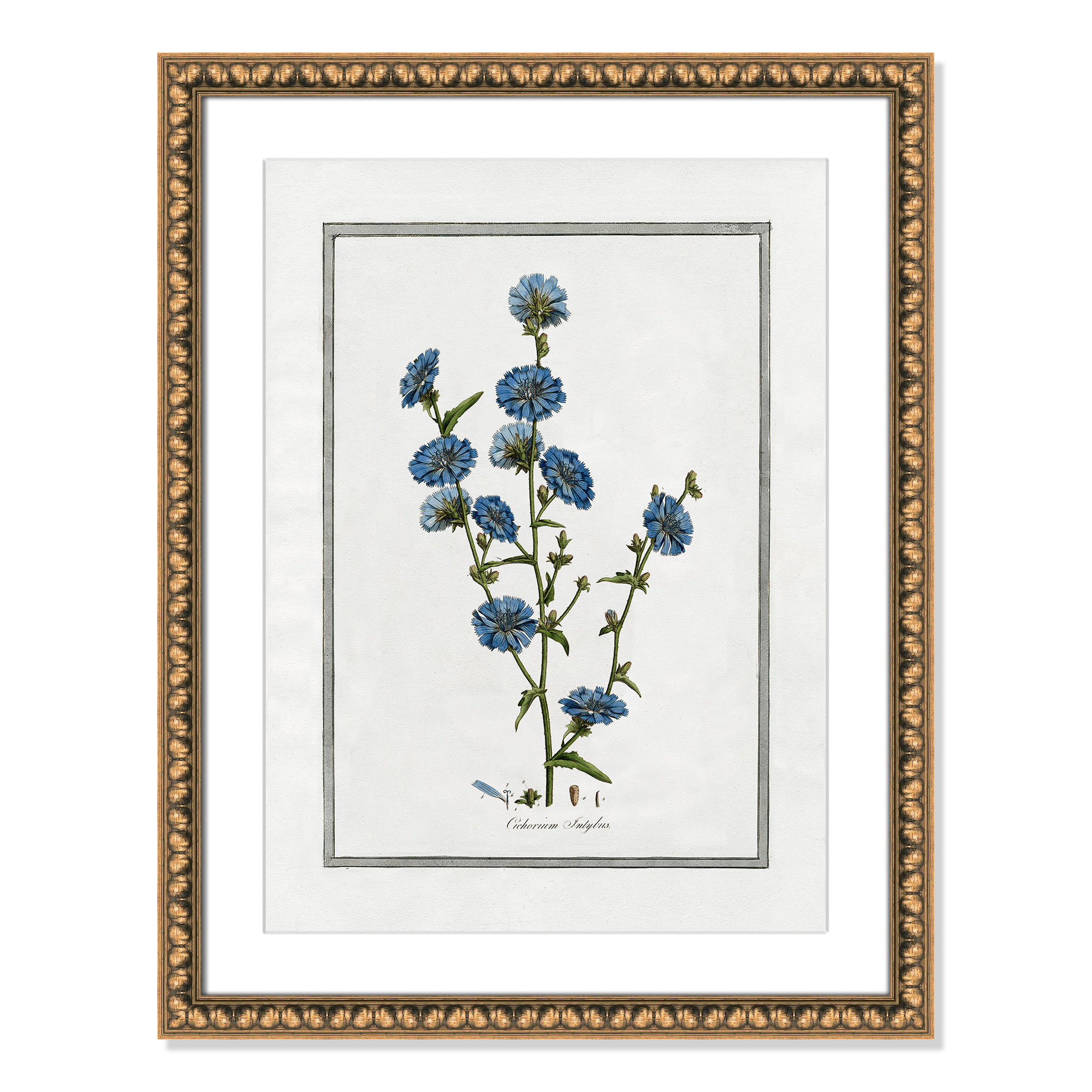 Soft Botanical I - Framed Art Full Bleed, 18" W x 24" H, Gold Bead Framed
