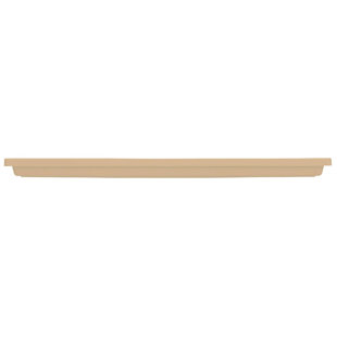 Saucer Plant Stand (Set of 12)