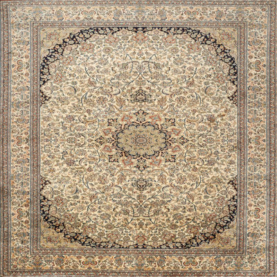 Oriental Indoor Rug