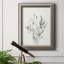 «Delicate Sage Botanical V», reproduction sur toile encadrée-497876903