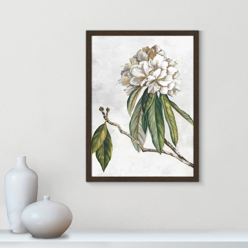 «Pearly Beauty II» par Eva Watts, L 17 po x H 23 po, Impression encadrée, Grain de bois noyer