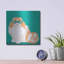 «Blue Persian» par Debbie Gray-960081520