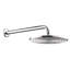 Raindance 300 Rain Shower Head-3543665
