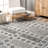 Achorn Indoor Rug-1696434173