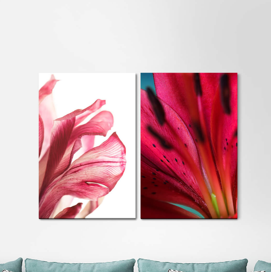 2-tlg. Leinwandbilder-Set - Grafikdruck „Orchids Flowers Summer Red”