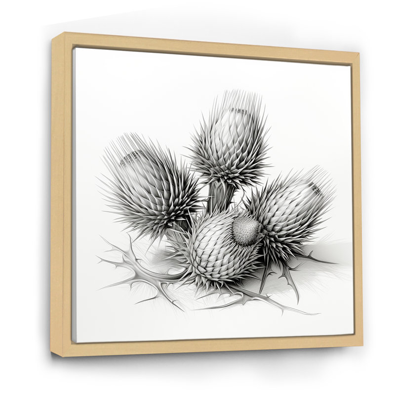 Fleurs de chardon - Art mural Thistle, H 36 po x l 36 po, Brun