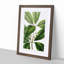 Flowering Tristania Plant - Picture Frame Painting Print-55576276-55576273