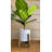 Benally Handmade Pot Planter