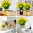 6-pack Lemon Mason Jar Table Centerpieces