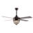 Burnside Ceiling Fan with LED Lights-1094775928