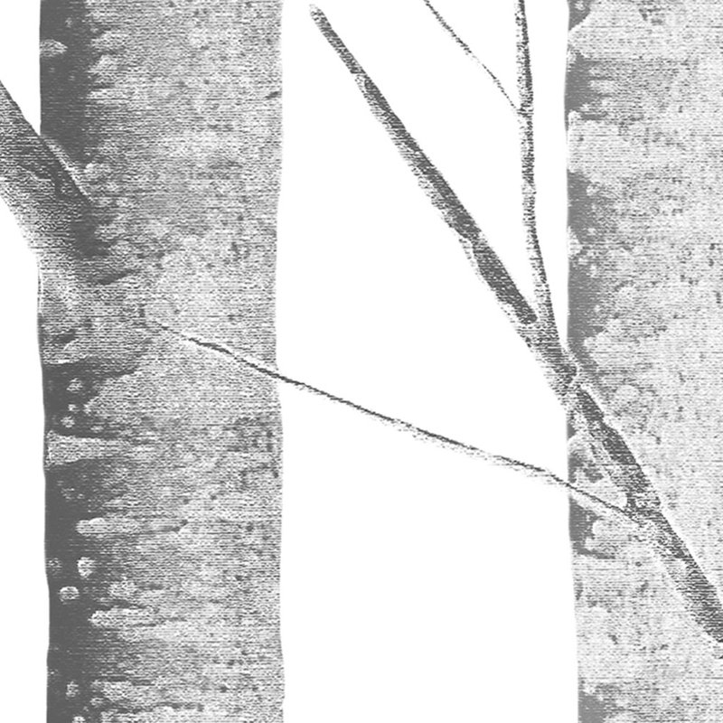 Papier peint auto-adhésif Bouleau, Gris