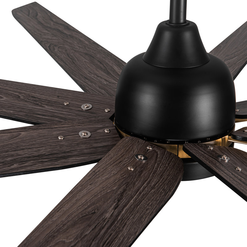 Ceiling Fan with Light Kit