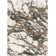 Azarcon Machine Woven Abstract Cream/Dark Green Area Rug