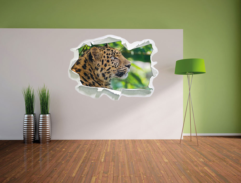 Prächtiger Leopard im Schatten Wandsticker