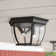 Aquilar Wall Light