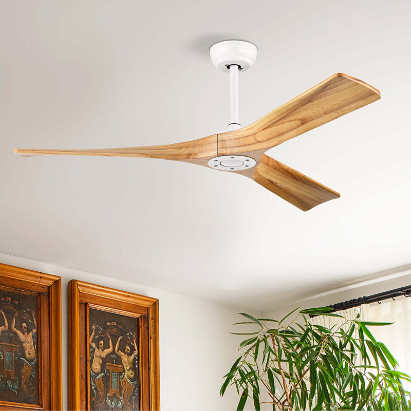 Ventilateur de plafond 52 po avec télécommande, sans lumières, ventilateur de plafond moderne à 3 pales