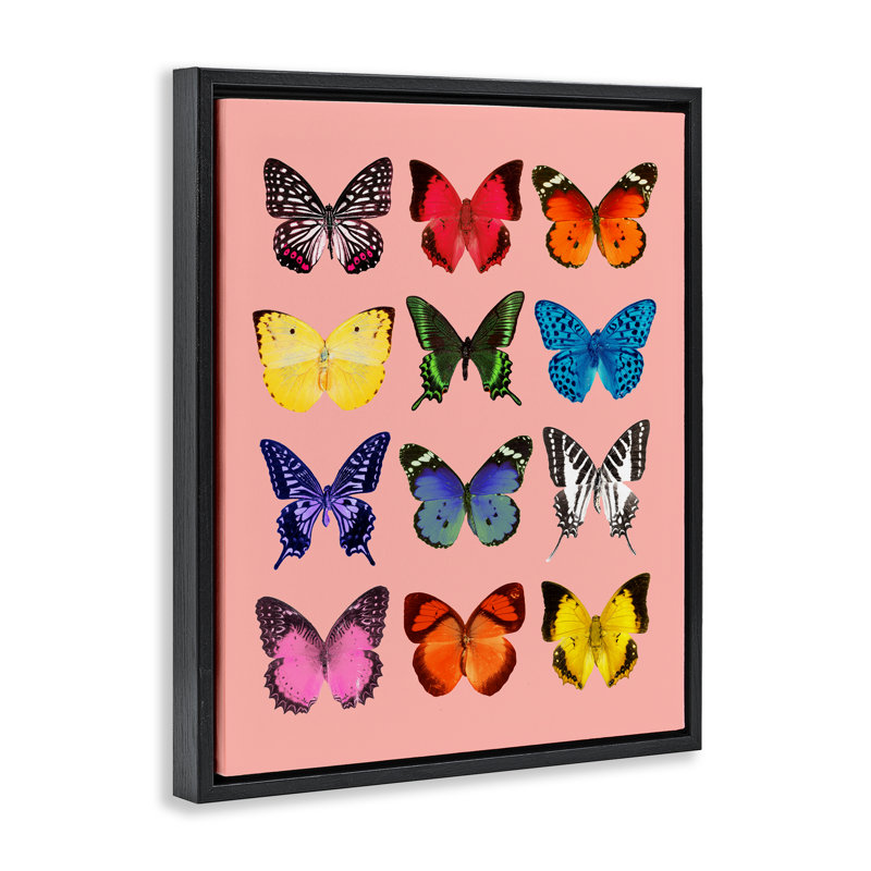 Espèces de papillons sur cadre flottant, design par Lish Creative, Cadre flottant noir de jais, H 21 po x l 17 po